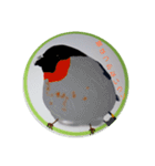 可愛さ満点の野鳥（個別スタンプ：2）