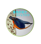可愛さ満点の野鳥（個別スタンプ：4）