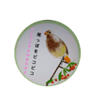 可愛さ満点の野鳥（個別スタンプ：6）