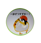 可愛さ満点の野鳥（個別スタンプ：7）