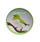 可愛さ満点の野鳥（個別スタンプ：9）