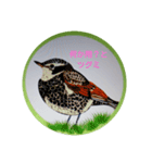 可愛さ満点の野鳥（個別スタンプ：14）