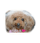 可愛い天使達♡2（個別スタンプ：2）