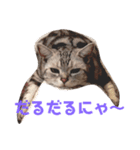 猫の らもちゃん（個別スタンプ：9）