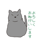 もっちりグレー猫の使いやすいスタンプ（個別スタンプ：3）