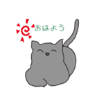もっちりグレー猫の使いやすいスタンプ（個別スタンプ：6）