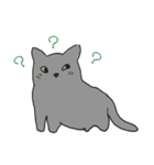 もっちりグレー猫の使いやすいスタンプ（個別スタンプ：7）