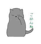 もっちりグレー猫の使いやすいスタンプ（個別スタンプ：13）