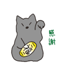 もっちりグレー猫の使いやすいスタンプ（個別スタンプ：26）
