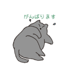 もっちりグレー猫の使いやすいスタンプ（個別スタンプ：32）