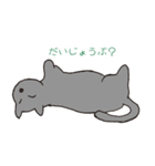 もっちりグレー猫の使いやすいスタンプ（個別スタンプ：37）