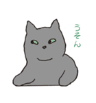 もっちりグレー猫の使いやすいスタンプ（個別スタンプ：40）