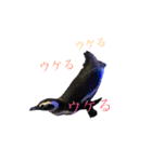楽しい魚のスタンプ（個別スタンプ：2）