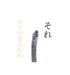 楽しい魚のスタンプ（個別スタンプ：3）