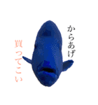 楽しい魚のスタンプ（個別スタンプ：8）