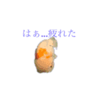 楽しい魚のスタンプ（個別スタンプ：14）