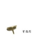 画鋲75％（個別スタンプ：5）