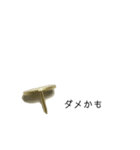 画鋲75％（個別スタンプ：6）