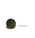 画鋲75％（個別スタンプ：15）