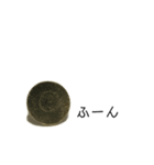 画鋲75％（個別スタンプ：16）