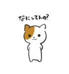 問いつめねこ（個別スタンプ：1）