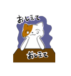 問いつめねこ（個別スタンプ：13）