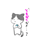 問いつめねこ（個別スタンプ：16）