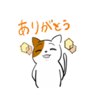 問いつめねこ（個別スタンプ：31）