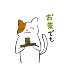 問いつめねこ（個別スタンプ：33）