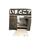 きゅうたの日常会話。（個別スタンプ：25）