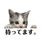 きゅうたの日常会話。（個別スタンプ：26）