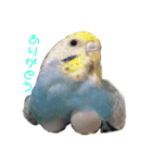 ぴちゃじく（個別スタンプ：2）