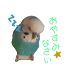 ぴちゃじく（個別スタンプ：3）