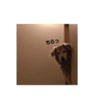 宮澤家のタルト（個別スタンプ：5）