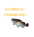 石巻弁サカナスタンプ（個別スタンプ：8）