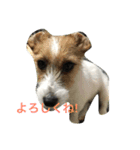 ムギの1日（個別スタンプ：2）