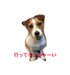 ムギの1日（個別スタンプ：5）