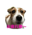 ムギの1日（個別スタンプ：6）