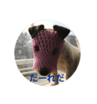 ムギの1日（個別スタンプ：8）