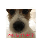 ムギの1日（個別スタンプ：9）