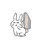 うさぎ顔芸スタンプ（個別スタンプ：2）