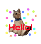 猫スタ2❤️（個別スタンプ：5）