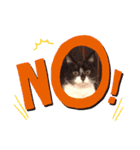 猫スタ2❤️（個別スタンプ：7）