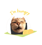 猫スタ2❤️（個別スタンプ：8）