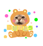 猫スタ2❤️（個別スタンプ：10）