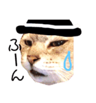 猫スタ2❤️（個別スタンプ：11）
