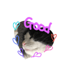 美猫くらぶ（個別スタンプ：7）
