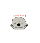 ウォンちゃん（個別スタンプ：1）
