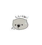 ウォンちゃん（個別スタンプ：3）