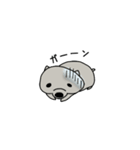 ウォンちゃん（個別スタンプ：8）